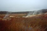 Hawaii Volcano Sandalwood Trail